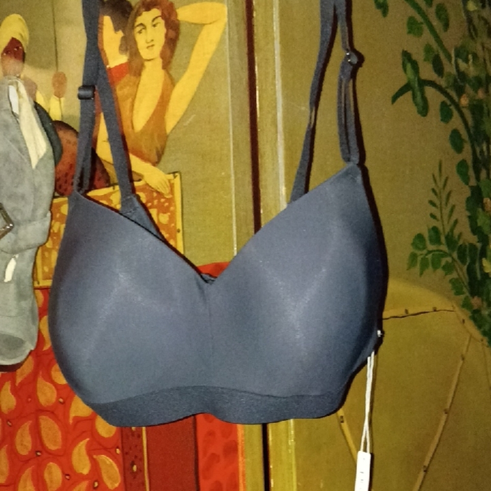 Reveal Beautiful Bra 32C